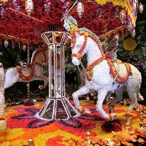 Meet your Posher, Maggie